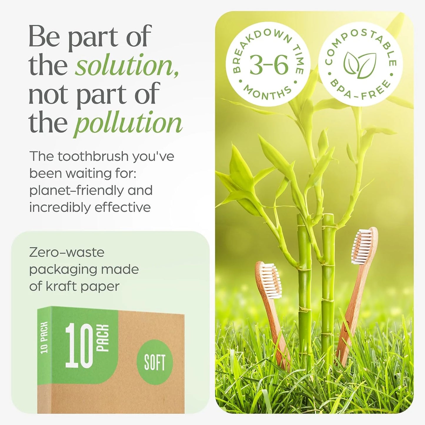 Biodegradable Bamboo Toothbrush 10 Packs, Environmentally Friendly Compostable Natural Wooden Toothbrush