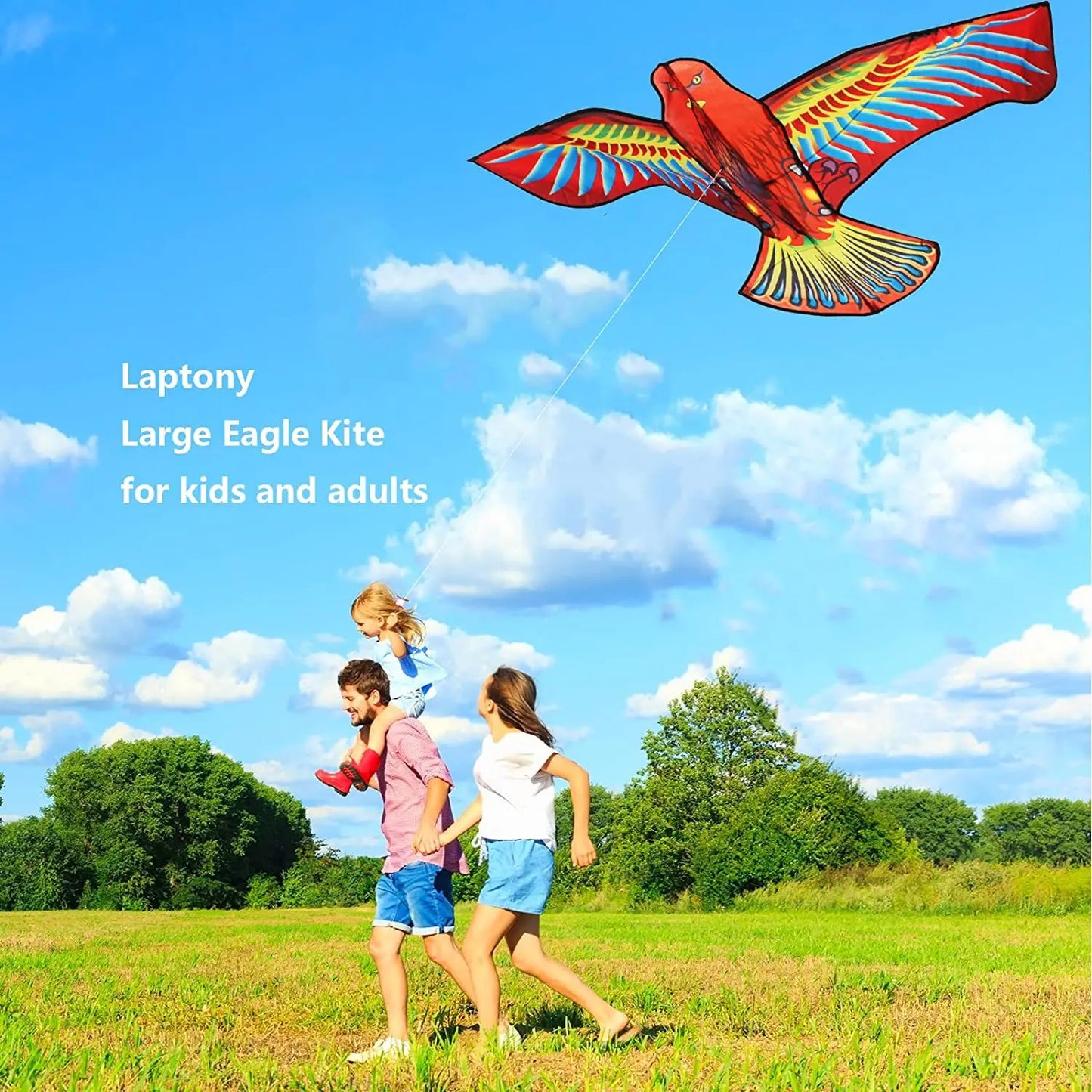 Eagle Kite with Adult Reel Steering – Large Stunt Wind Kite, Professional Accessories, Children’s Flying Outdoor Play Toy