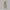 1PC Cartoon Training Chopsticks – Kawaii Learning Chopsticks Helper for Beginners, Kitchen Utensils, Apartment & College Dorm Essentials, Back to School Supplies