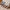 Women's Plaid Color-Block Plush-Fur Lined Winter Slippers - Cozy Non-Slip PVC Sole Indoor House Shoes (Grey/White)