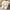 Elegant Women's Plush Slippers – Warm Lined Striped Open-Toe Slip-On with Non-Slip EVA Sole