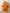 Thickened One-Piece Infant Outfit – Fleece-Lined Zipper Romper (Autumn/Winter, Newborn, Outdoor Wear, Perfect for Holidays)