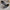 1 Pair Boys Canvas Low-Top Sports Shoes – Lightweight Breathable Casual Athletic Sneakers with Elastic Band Closure
