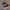 Kids All-Season Sneakers — Mid-Top Non-Slip Cushioned Midsole, Easy Lace & Zipper Closure, PU Upper with Rubber Sole — Boys & Girls (Toddler to Preteen) — Navy, Mustard Yellow & Brown