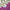 Kocotree Children's Winter Set – Knitted Wool Hat, Earmuffs, Scarf & Gloves for Boys & Girls – Autumn & Winter Warmth - Kidzy Market