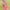 Girls’ Colorful Polka Dot Giraffe Print Dress & Bag Set – Adorable Short Sleeve Ruffle Hem Outfit for Summer, Perfect for Parties & Playdates, Ideal Gift for Little Girls - Kidzy Market