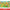 Logic Thinking Wooden Puzzle Game – Animal and Vehicle Cartoon Educational Toy for Kids