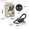 RC Insect and Animal Toy – Electric Simulated Snake, Cockroach, Pillbug Remote Control Toy