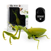 Infrared RC Antistress Insect Toys – Simulation Spider, Bee, Fly, and Mantis for Kids