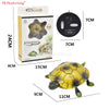 RC Insect and Animal Toy – Electric Simulated Snake, Cockroach, Pillbug Remote Control Toy