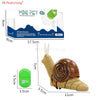 RC Insect and Animal Toy – Electric Simulated Snake, Cockroach, Pillbug Remote Control Toy