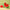 Silicone Watermelon Building Blocks BPA-Free Montessori Stacking & Balance Toy for Toddlers and Kids