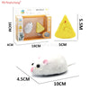 RC Insect and Animal Toy – Electric Simulated Snake, Cockroach, Pillbug Remote Control Toy