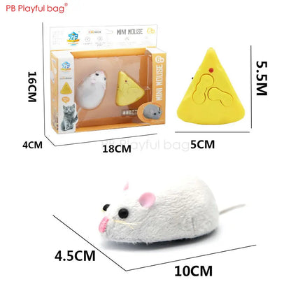 RC Insect and Animal Toy – Electric Simulated Snake, Cockroach, Pillbug Remote Control Toy