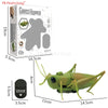 RC Insect and Animal Toy – Electric Simulated Snake, Cockroach, Pillbug Remote Control Toy