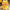 Lalafanfan Yellow Duck Plush Toy 30cm (11.8 Inches)