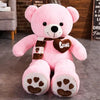 Teddy Bear Plush Toy With Scarf – 4 Colors