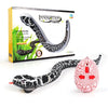 RC Snake Robot Toy – Electric Viper with Retractable Tongue Remote Control Animal