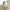 Simulation Dog Plush Toy 50cm (19.7 Inches) 3D Printing