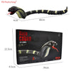 RC Insect and Animal Toy – Electric Simulated Snake, Cockroach, Pillbug Remote Control Toy