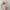 2pcs/Set Cute Newborn Angel Feather Wings & Baby Girl Rose Flower Headband Hair Accessories for Infant Photography Props