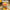 Lalafanfan Yellow Duck Plush Toy 30cm (11.8 Inches)