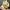 Lalafanfan Yellow Duck Plush Toy 30cm (11.8 Inches)