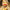 Lalafanfan Yellow Duck Plush Toy 30cm (11.8 Inches)