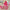 Sanrio Hello Kitty Dustbin Trash Can Rubbish Bin Garbage Bin Kawaii Paper Basket for Living Room Bedroom
