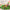 Montessori Pull-Out Radish Toy for Toddlers – Memory, Sorting & Fine Motor Skills Game, 7.08×7.48×1.77 in (18×19×4.5 cm)