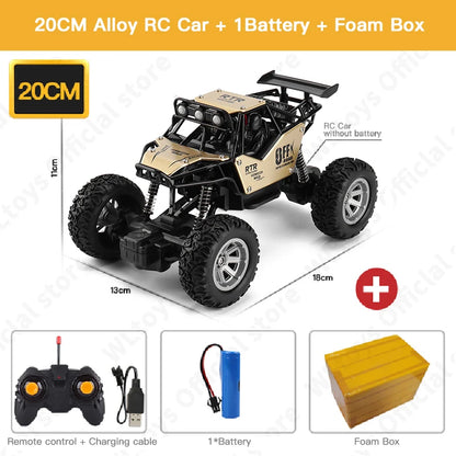 ZWN 1:16/1:20 RC Car with LED Light and 2WD Off-Road Climbing Remote Control
