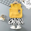 Summer Baby Clothes Set – Casual Baby Boy Clothing Set with T-shirt & Shorts – Kids Unisex Short Sleeve Sports Outfit – Infant Baby Girl Clothes