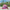 Pop-Up Baby Beach Tent with Pool Shark Cartoon UV Protection Portable Lightweight Playhouse for Kids