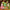 Christmas Building Blocks – Santa Claus, Snowman, Elk, and Tree Micro Brick Puzzle Model for Kids