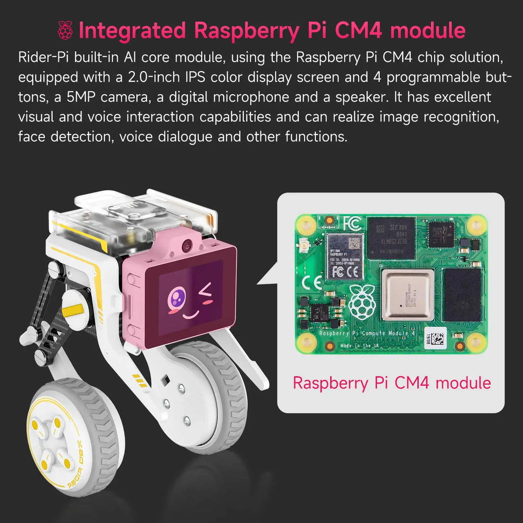 Rider-Pi AI Visual Robot, Two-Wheel Smart Car Toy with IMU Module, Python Programming, ChatGPT Voice Interaction