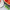 Stainless Steel Windmill Watermelon Cutter Fruit Slicer