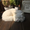 Realistic Mini Plush Cat Doll - 8.27 x 6.69 x 2.76 in (21 x 17 x 7 cm) Simulation Animal Toy & Car Ornament