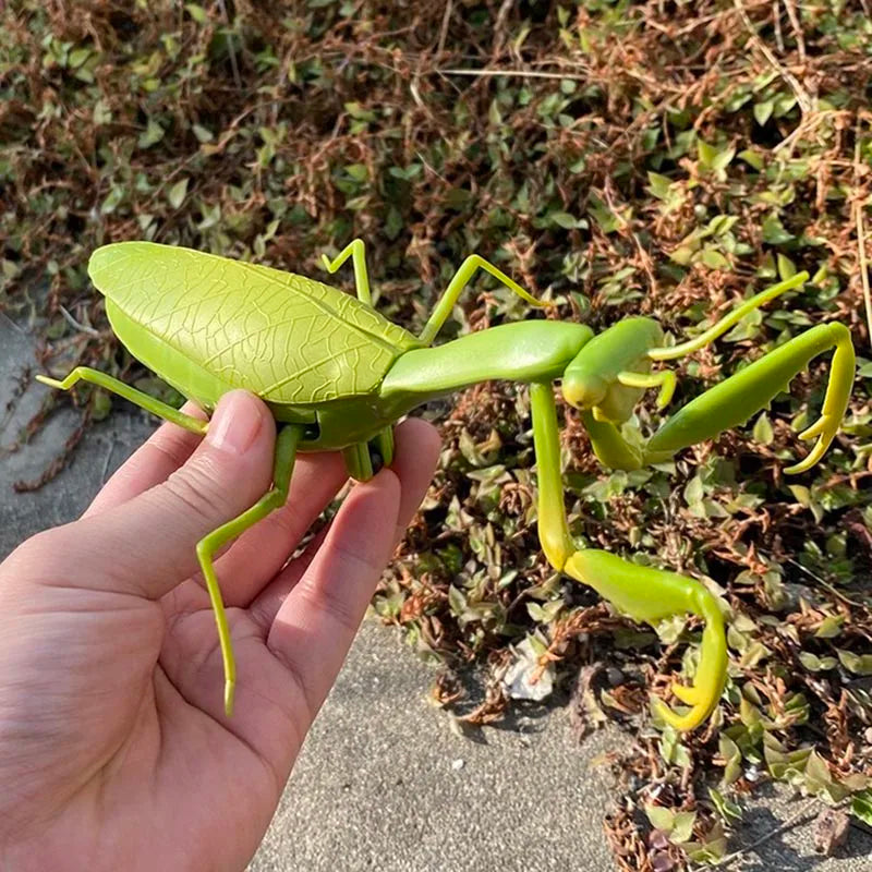 Infrared RC Antistress Insect Toys – Simulation Spider, Bee, Fly, and Mantis for Kids