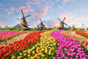 46x28cm Jigsaw Puzzles, 500 Pieces Paper Picture, Landscape Oil Painting Art Puzzle, Decompression Toy for Adults, Family Game