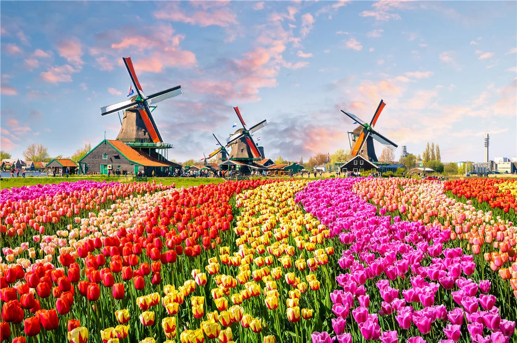 46x28cm Jigsaw Puzzles, 500 Pieces Paper Picture, Landscape Oil Painting Art Puzzle, Decompression Toy for Adults, Family Game
