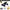 ZWN 1:16/1:20 RC Car with LED Light and 2WD Off-Road Climbing Remote Control
