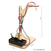 DIY Solar Robot Science Kit for Kids – Wooden STEM Electronics & Motor Toy, Ages 6-14