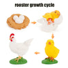 Animal & Plant Life Cycle Board Montessori Teaching Set - Preschool Science Model Kit for Kids