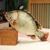 Funny Fish Plush Toy 30–100cm (11.8–39.4 Inches)