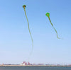 Large Snake Kite – Flying Drachen Papagaio de Vento for Beach, Outdoor Fun, Giant Comet Kite