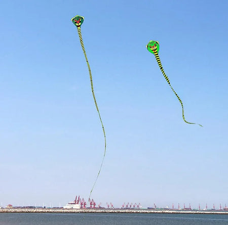 Large Snake Kite – Flying Drachen Papagaio de Vento for Beach, Outdoor Fun, Giant Comet Kite