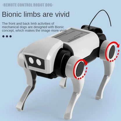 2-in-1 RC Robot Puppy and Cat Toy – DIY Assembling Mechanical Animal for Kids