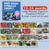 Baby High-Contrast Visual Stimulation Flash Cards – Montessori Infant Cognitive Toy