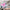 Mini Drone Flash – 2.4G 4CH Remote Control Quadcopter with 3D Flip and Altitude Hold