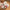 Hello Kitty Plush Slip-On Slippers for Women - Soft Padded Indoor Bedroom Shoes with Rubber Sole, Cute Kawaii